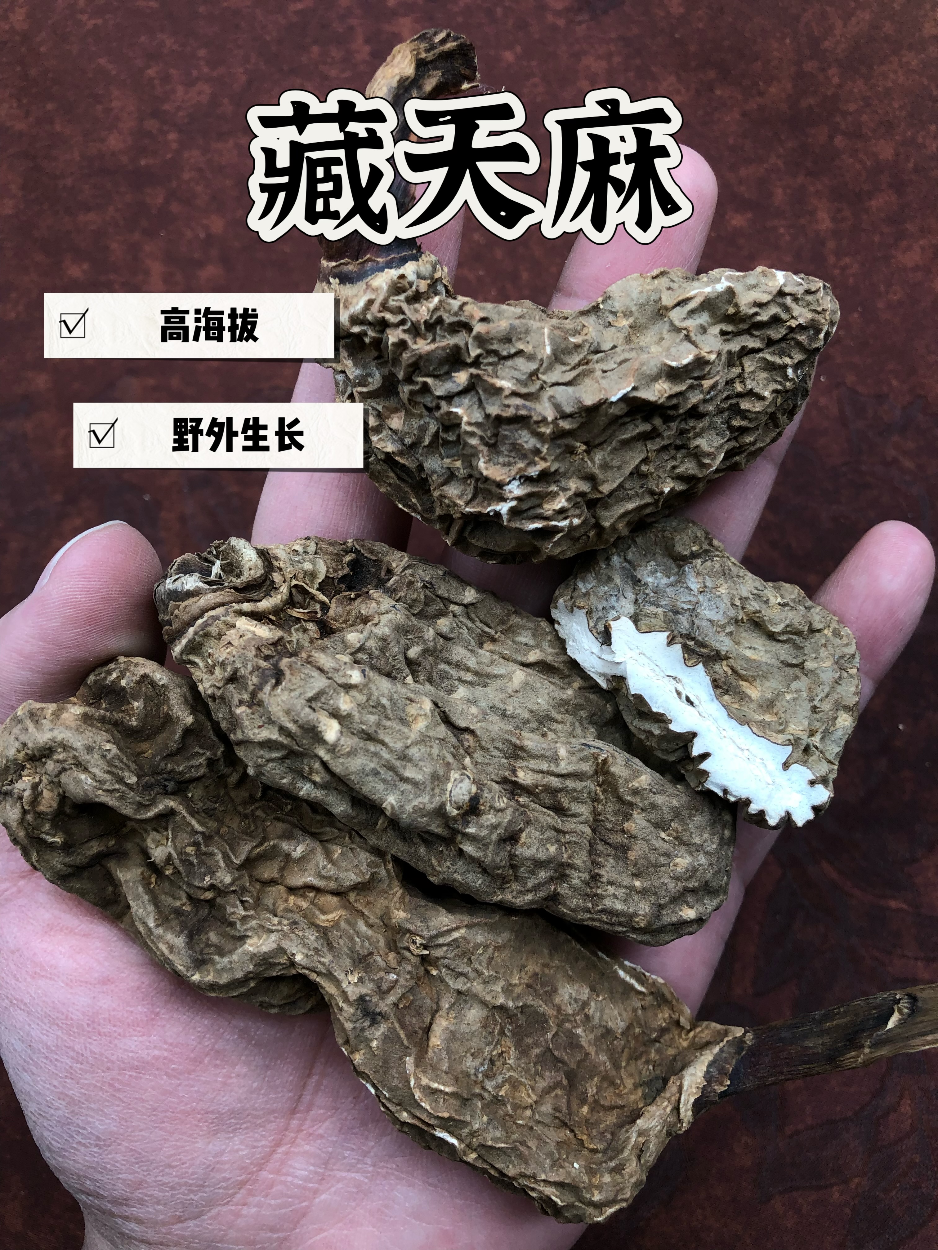 藏天麻野生无硫天麻特级干货高海拔野外生长滋补保健药材药食同源