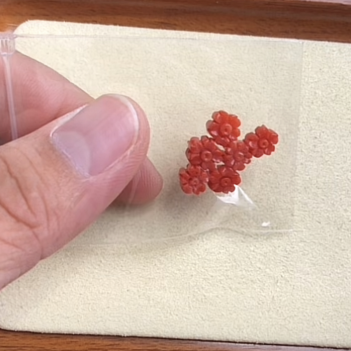 珊瑚花花一个（多样性发货）