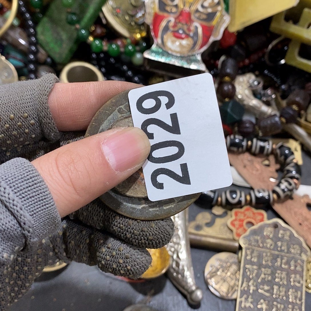 小***雄光明的未来是一2029