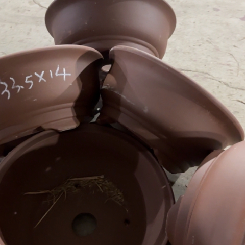 100-5。    微瑕33.5-14