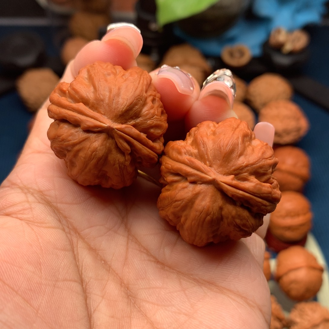 文玩核桃把件卧龙粗筋