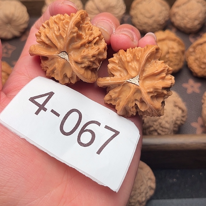 3***2文玩核桃把件40盘山三棱4067