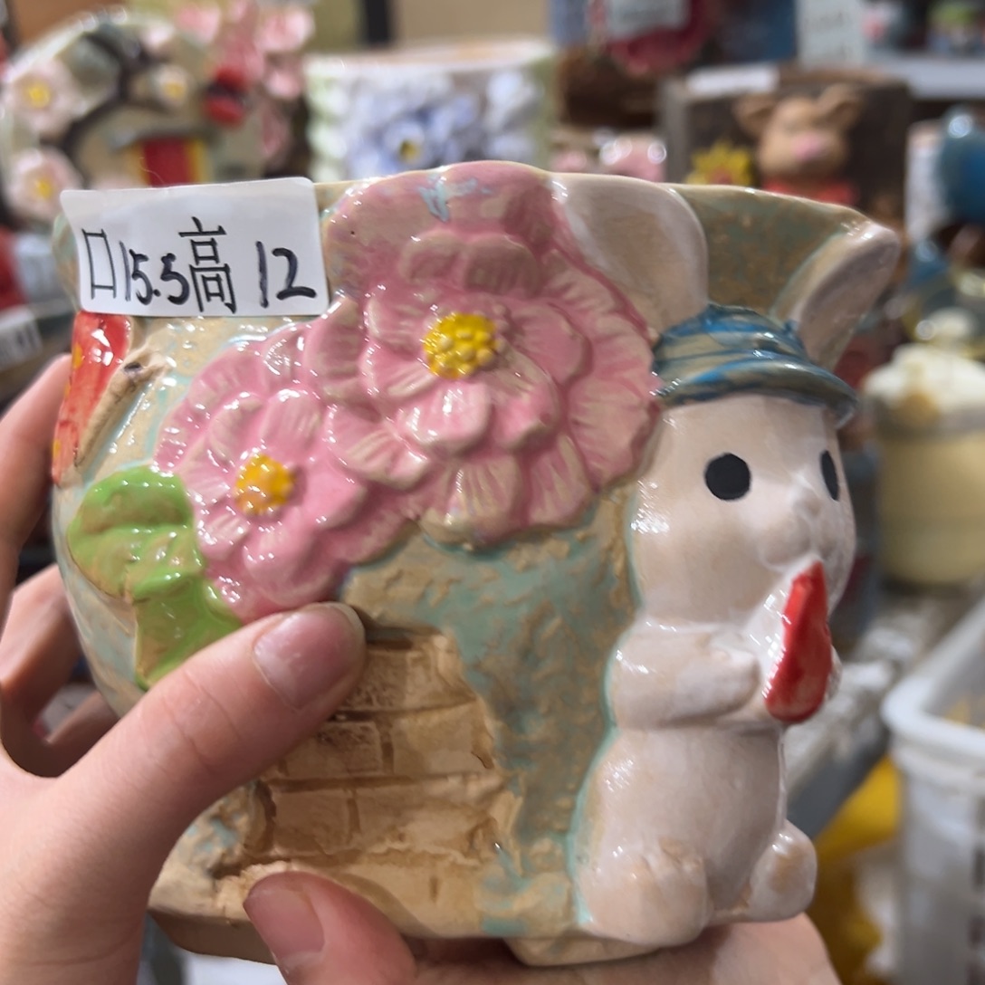 多肉花盆多肉花盆