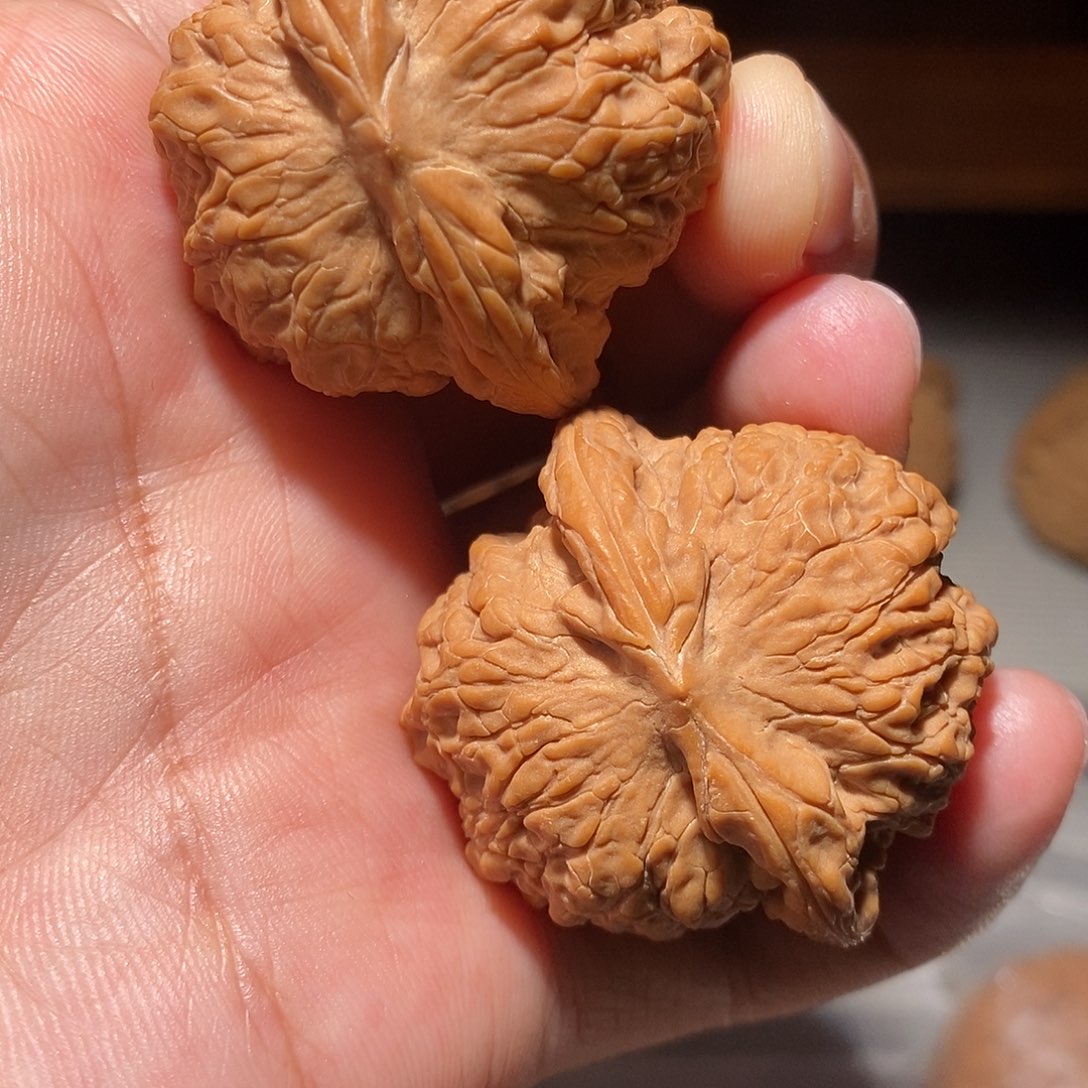 文玩核桃把件003血麒麟41尺全品头货对