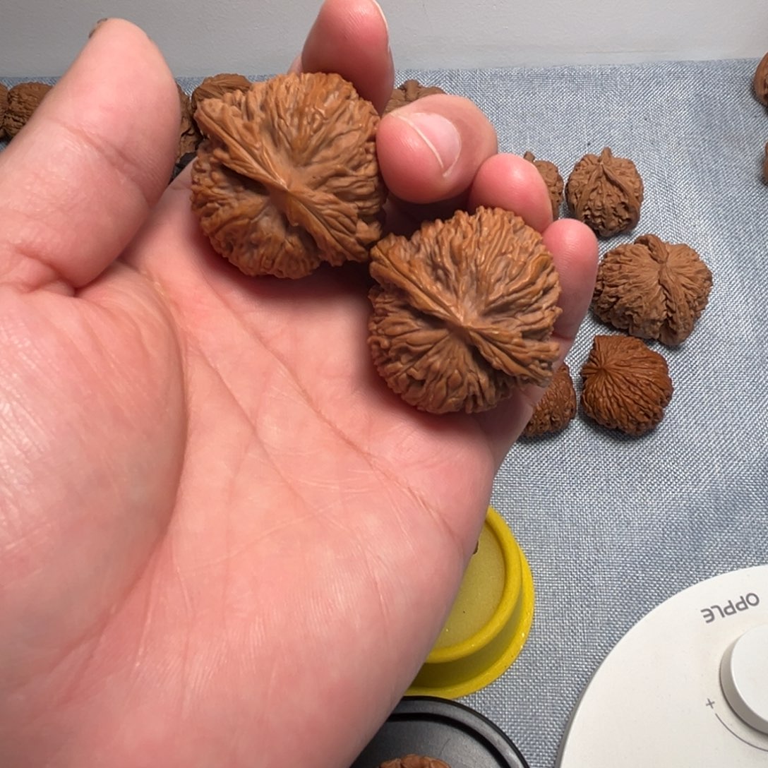 辰***阳核桃核桃核桃核桃