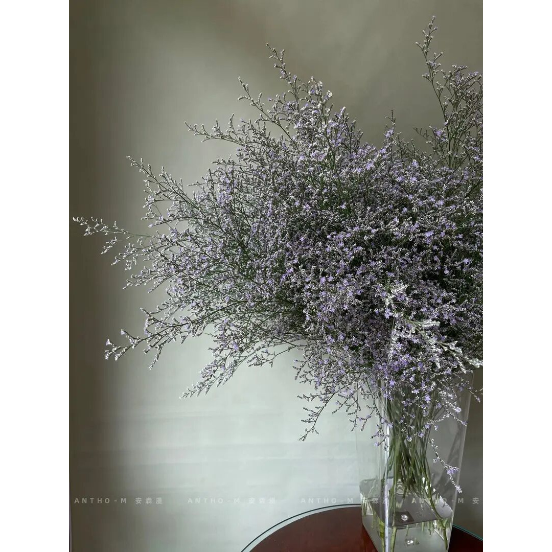 云南基地直发情人草干花花束鲜花真花家庭家居装饰摆设插花礼物