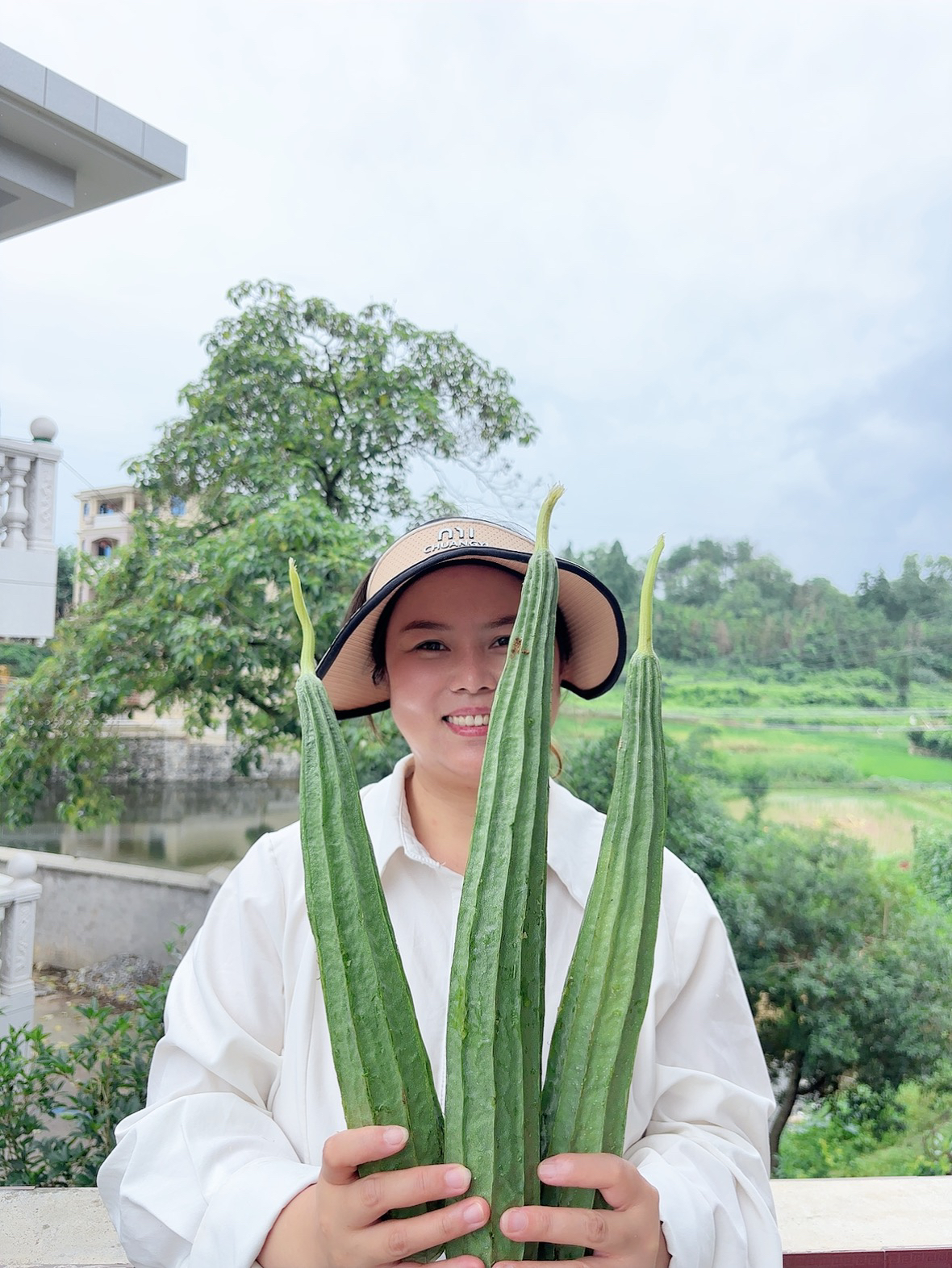 湖南农家  露天新鲜现摘棱角丝瓜  肉丝瓜混搭拍3斤发4斤