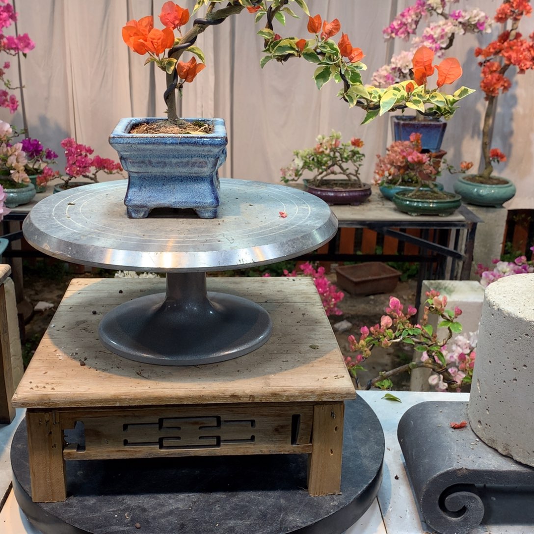 大量花朵（建议范围：8朵-15朵 或40%以上）