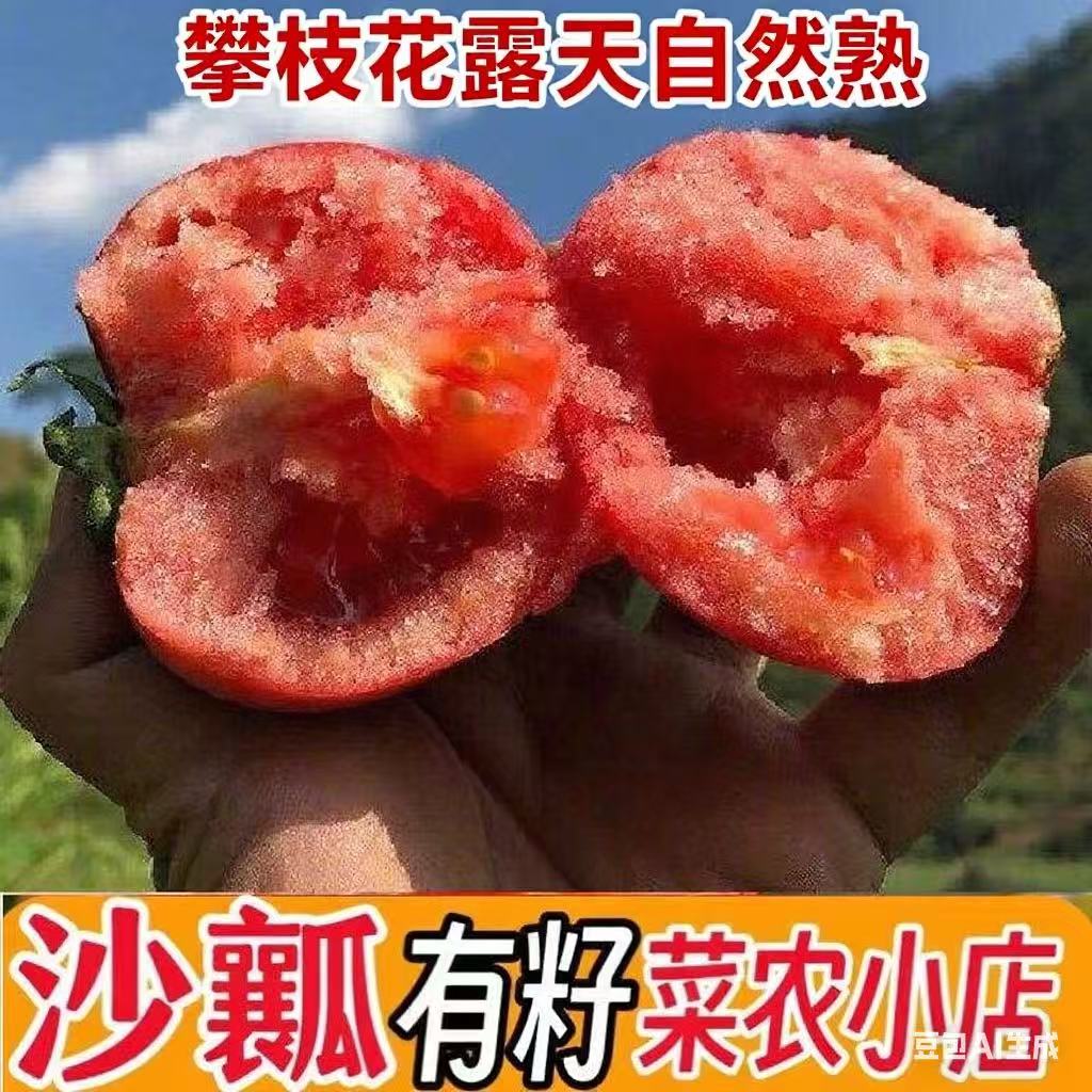四川攀枝花露天沙瓤大粉番茄应季蔬菜新鲜农家自然熟西红柿老味道