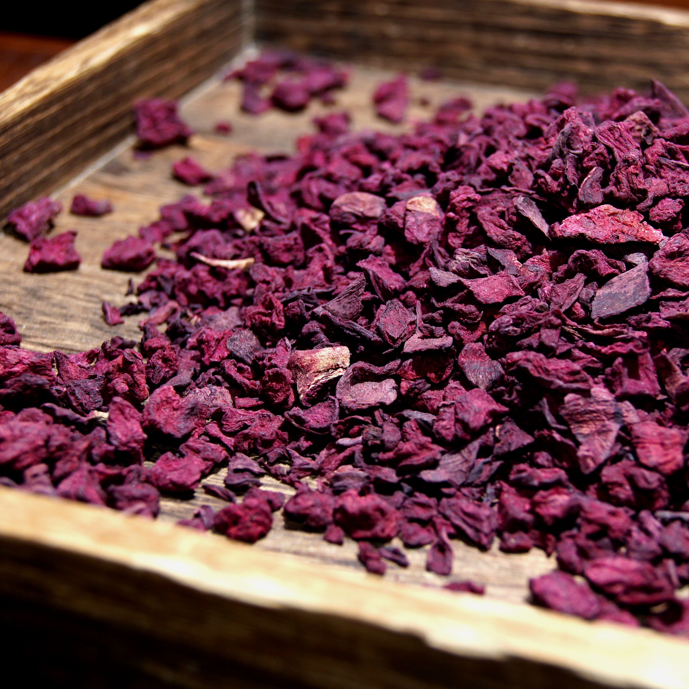 【阿豪精选】藏雪灵参  玉蓉丹（甜菜根）没啥用  怕你们被骗