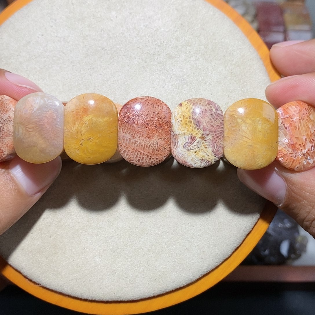 硅化珊瑚（珊瑚玉）手链未镶嵌彩凤尾123