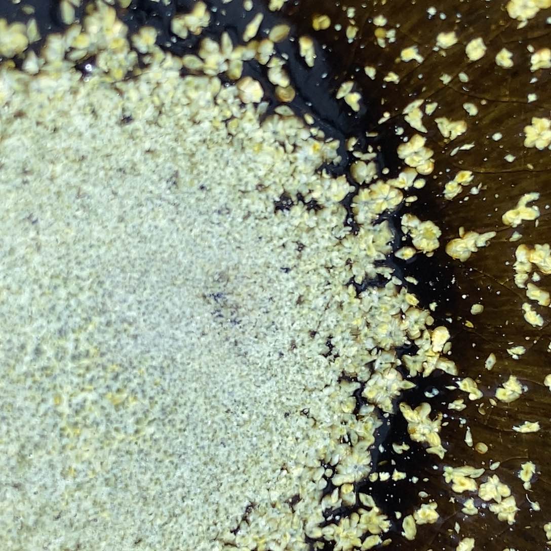 茶盏建盏主人杯一只