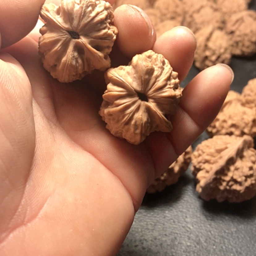 【闪购商品】或*赤龙鸡心