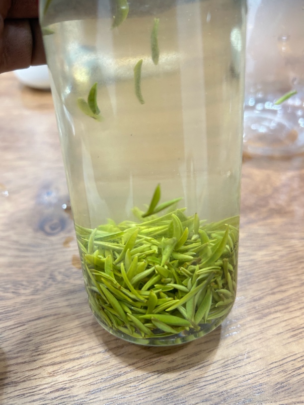 2025信阳毛尖明前小芽早茶栗香型500克（送礼盒）