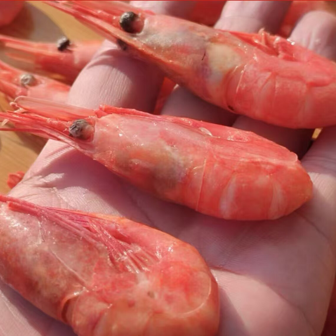 【直播专享】北极熊原箱120+北极甜虾熟冻即食北极虾   3斤