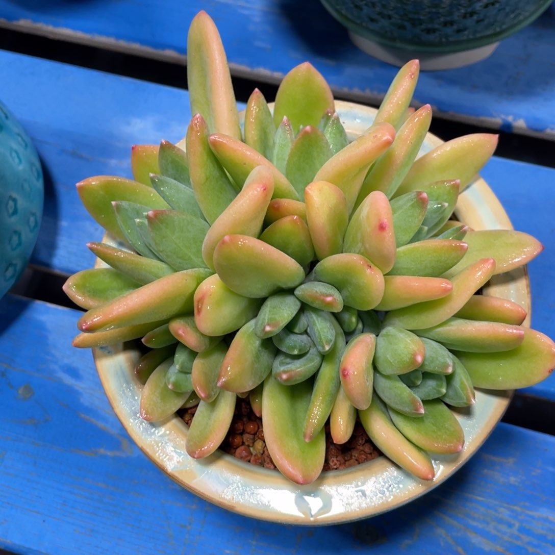 满68包邮发中通快递