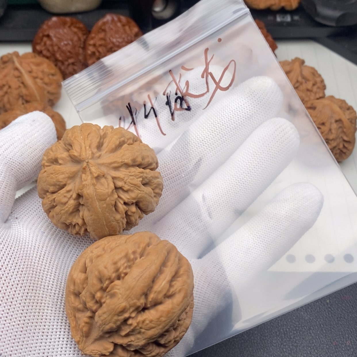 【闪购商品】文玩核桃吊坠霸王龙