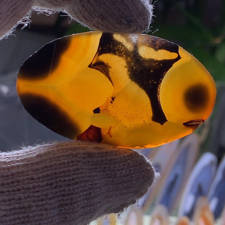 未镶嵌玛瑙/玉髓珠宝半成品89