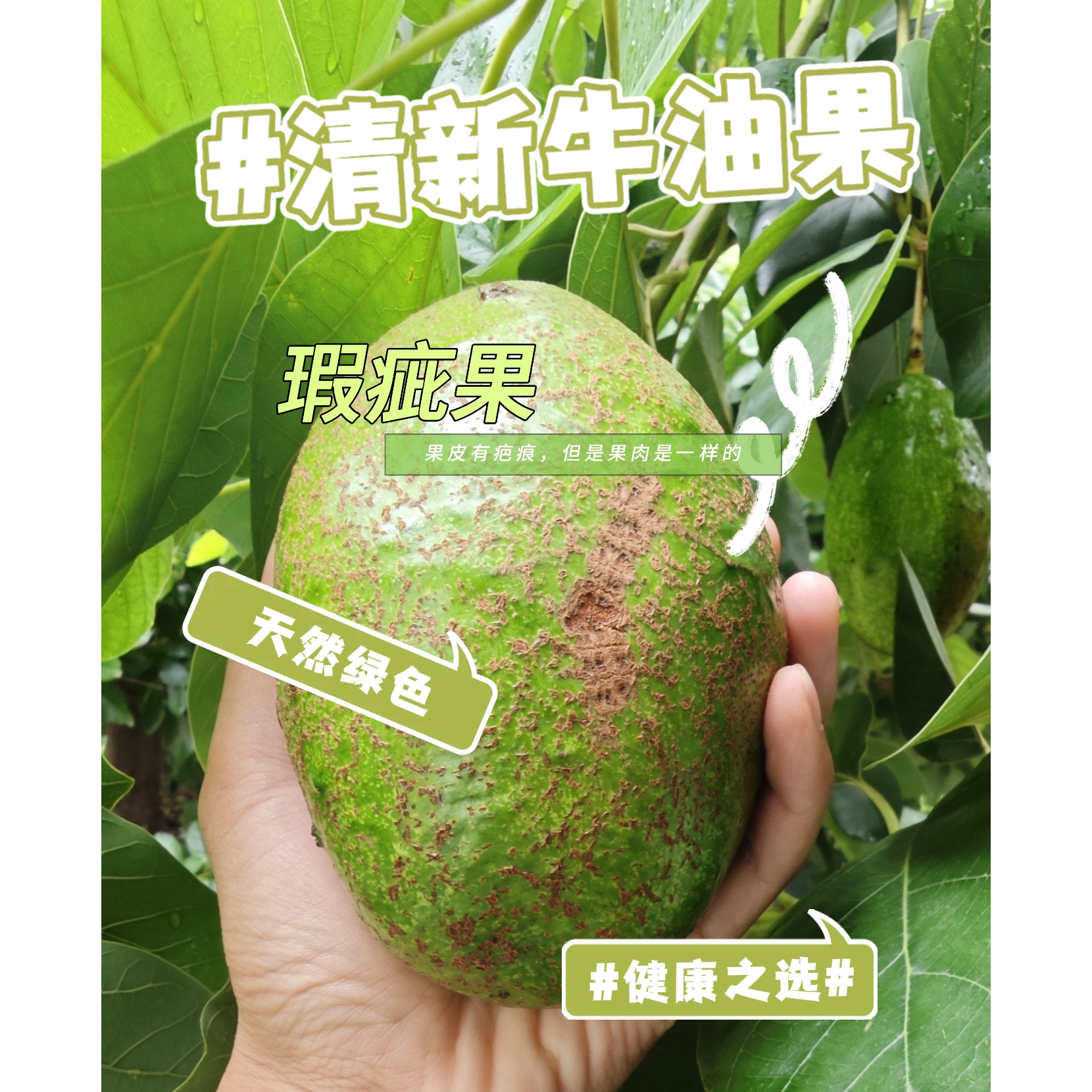 【阳光花城攀枝花牛油果】5-7枚300g-550g细腻顺滑坏果包赔