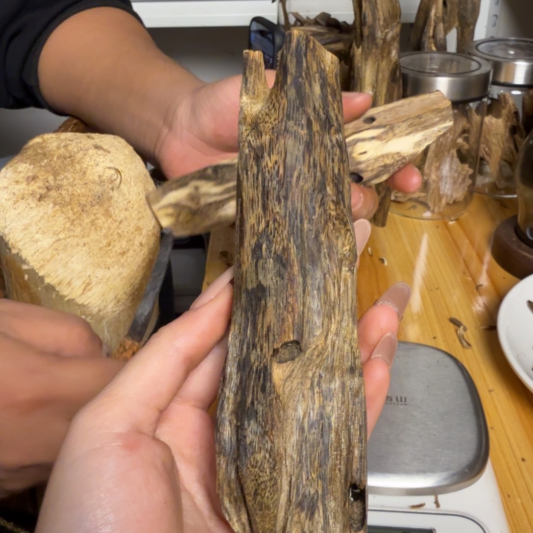 沉香白奇虫漏香56克