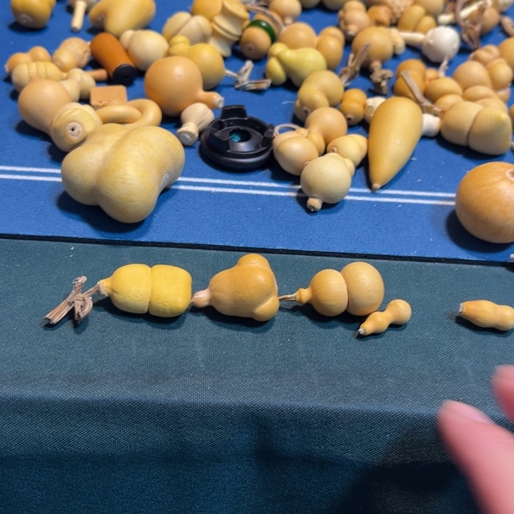 水***鱼突突突突突突突突突突图