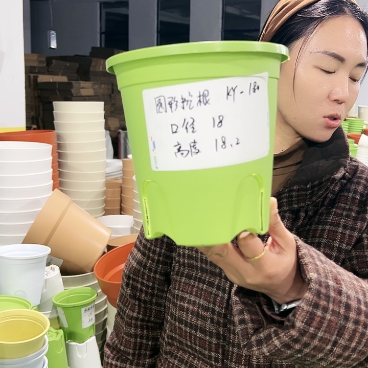 正品圆控口18高18果绿色8只无托