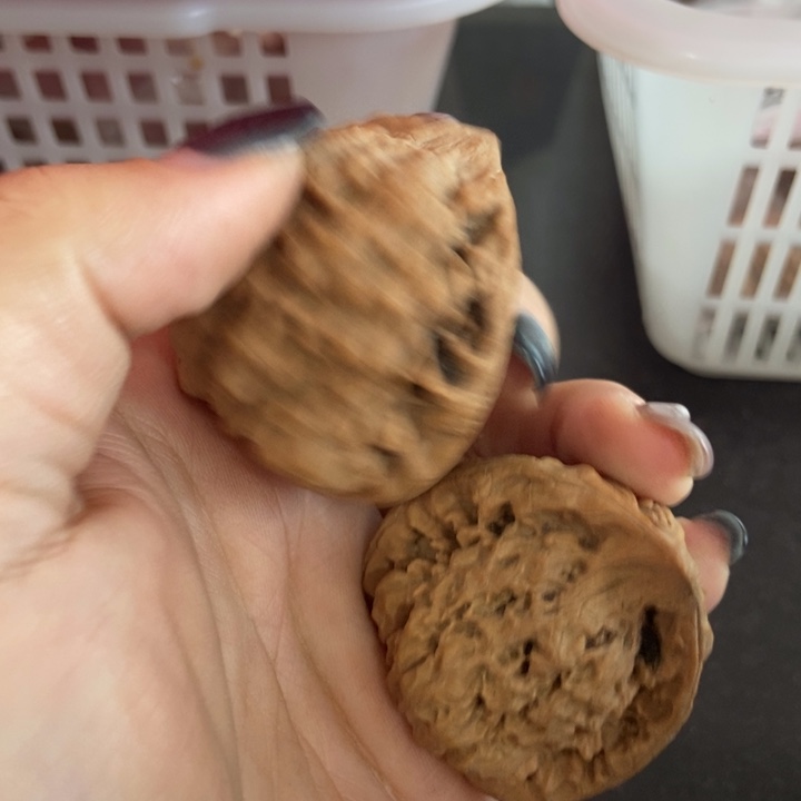 吊坠文玩核桃官蛇瑕疵