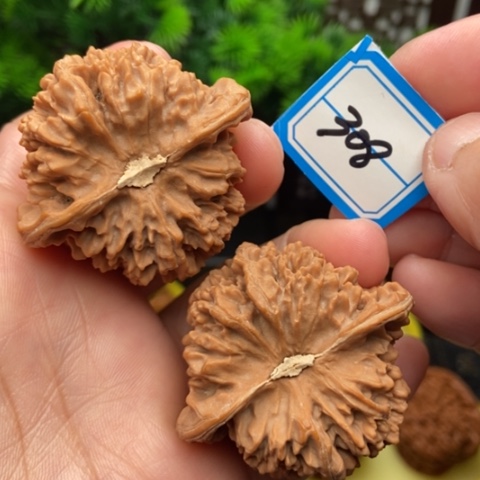 文玩核桃吊坠满天星45