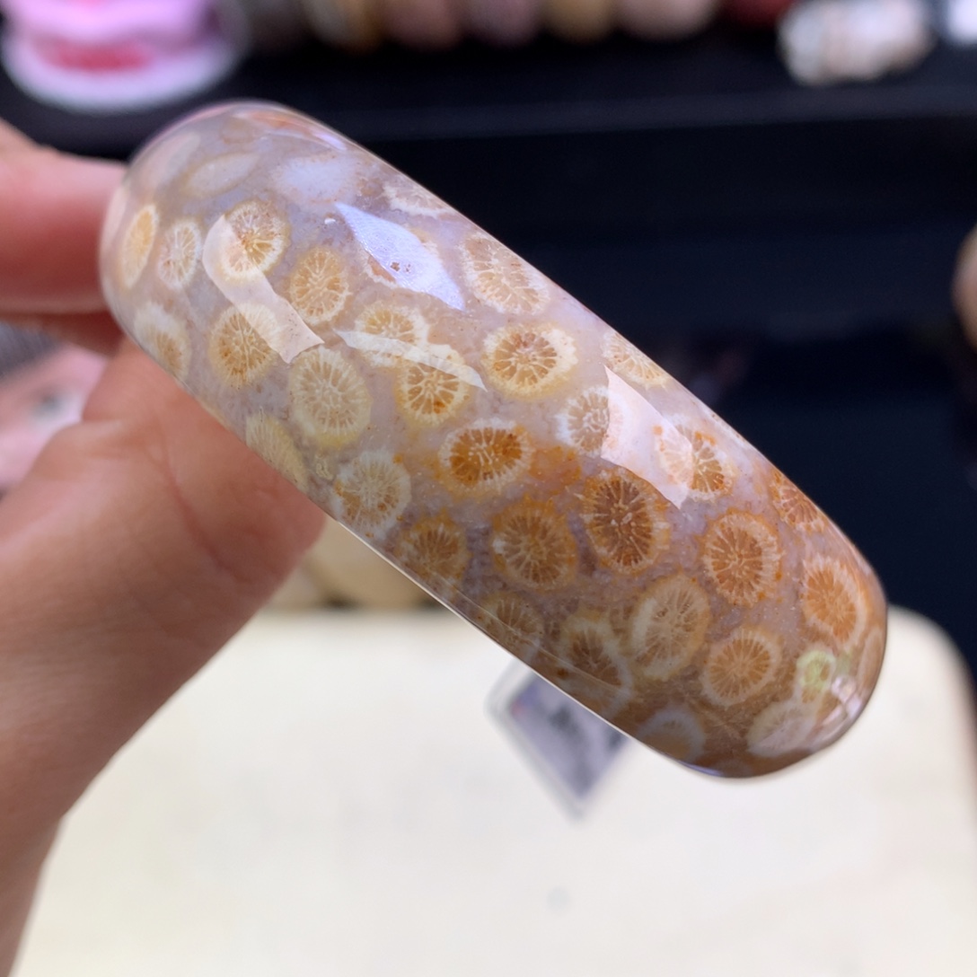 硅化珊瑚（珊瑚玉）未镶嵌颈饰五折果冻51圈（19号）