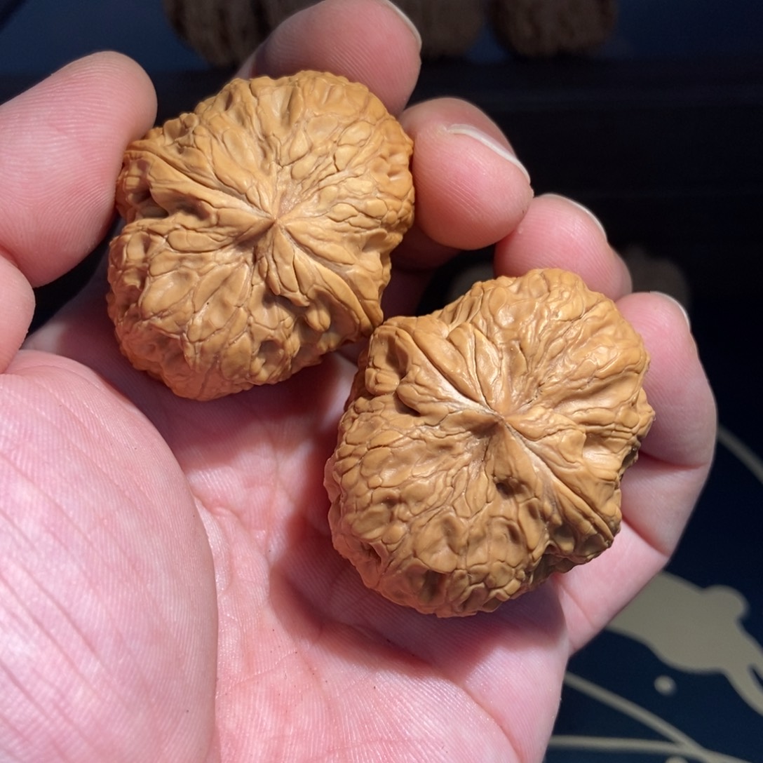文玩核桃把件全品驴打滚