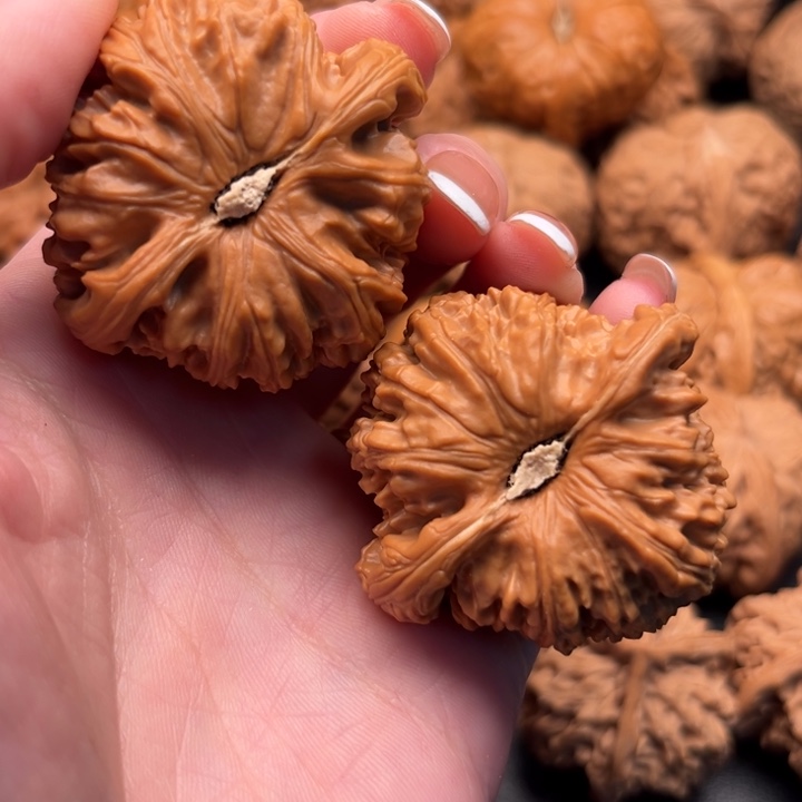 文玩核桃吊坠红*配2737白狮子