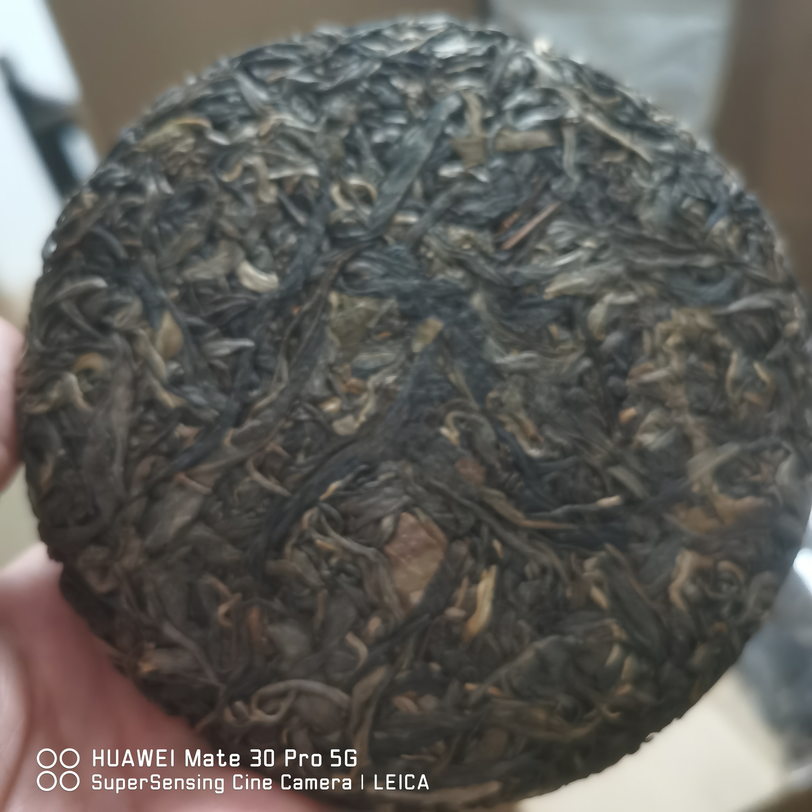白棉自留款2023头春古树生茶