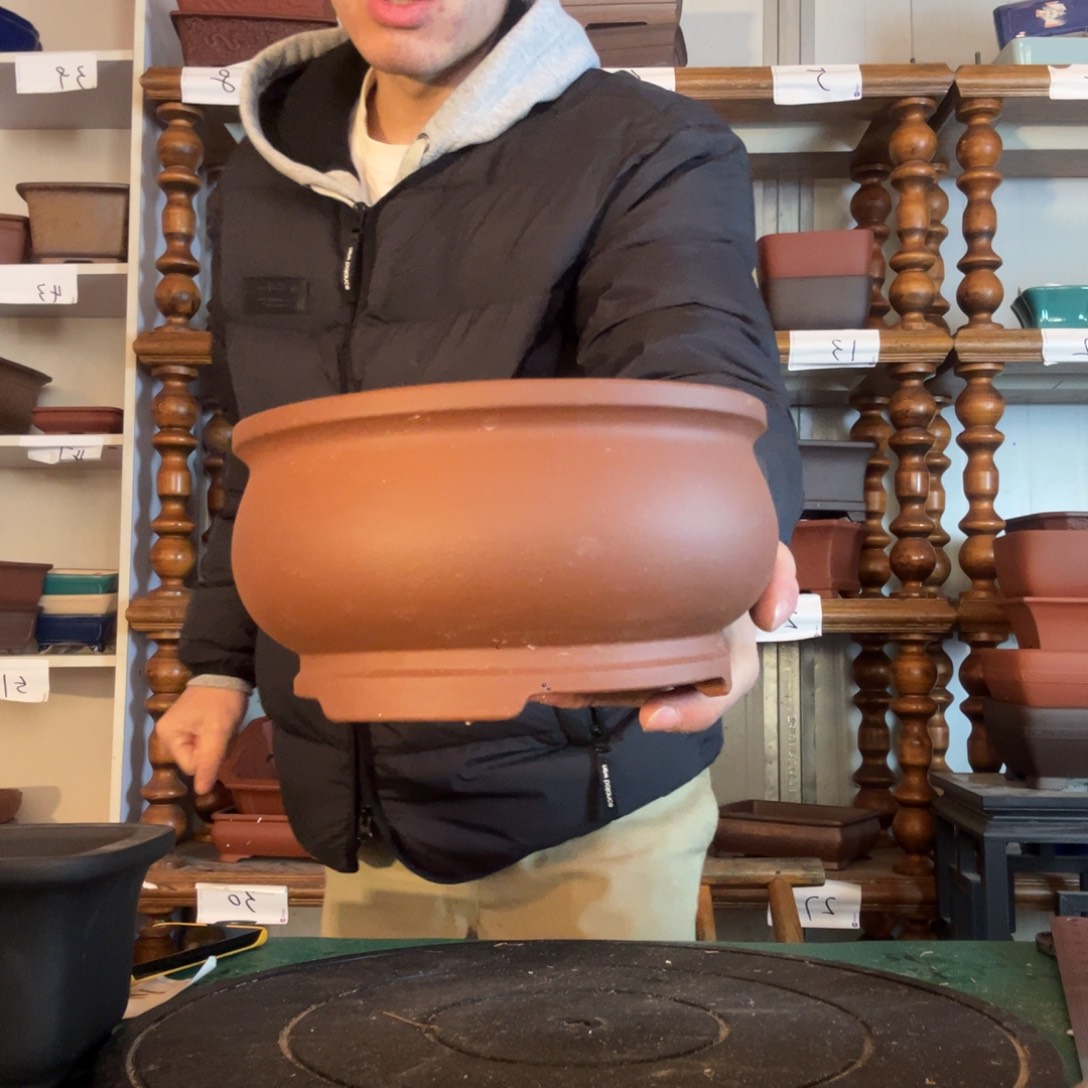 个f地方vv哈哈广告