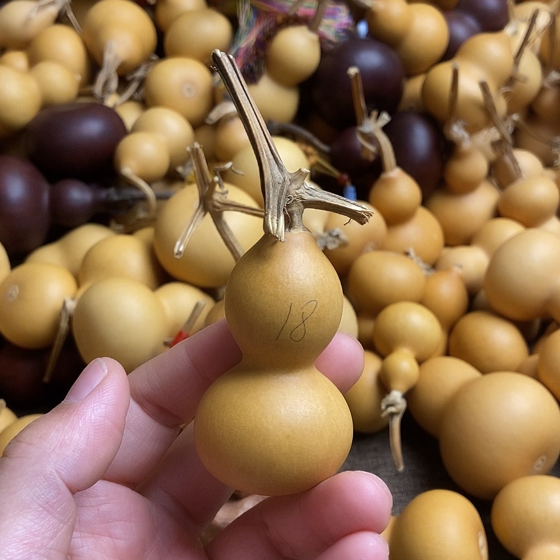 文玩葫芦 非完美主义者 慎拍18