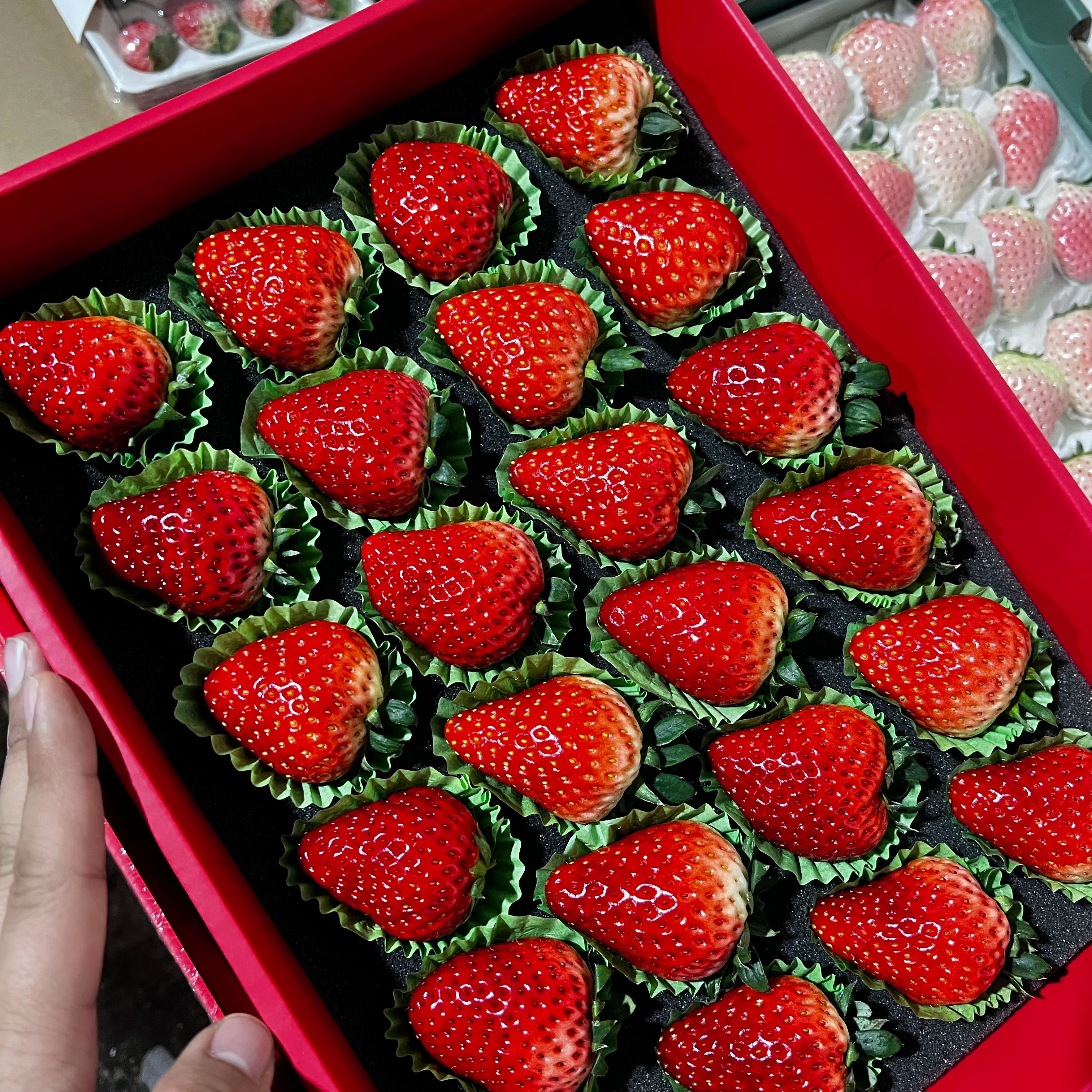 丹东久久草莓礼盒装送礼首选辽宁省