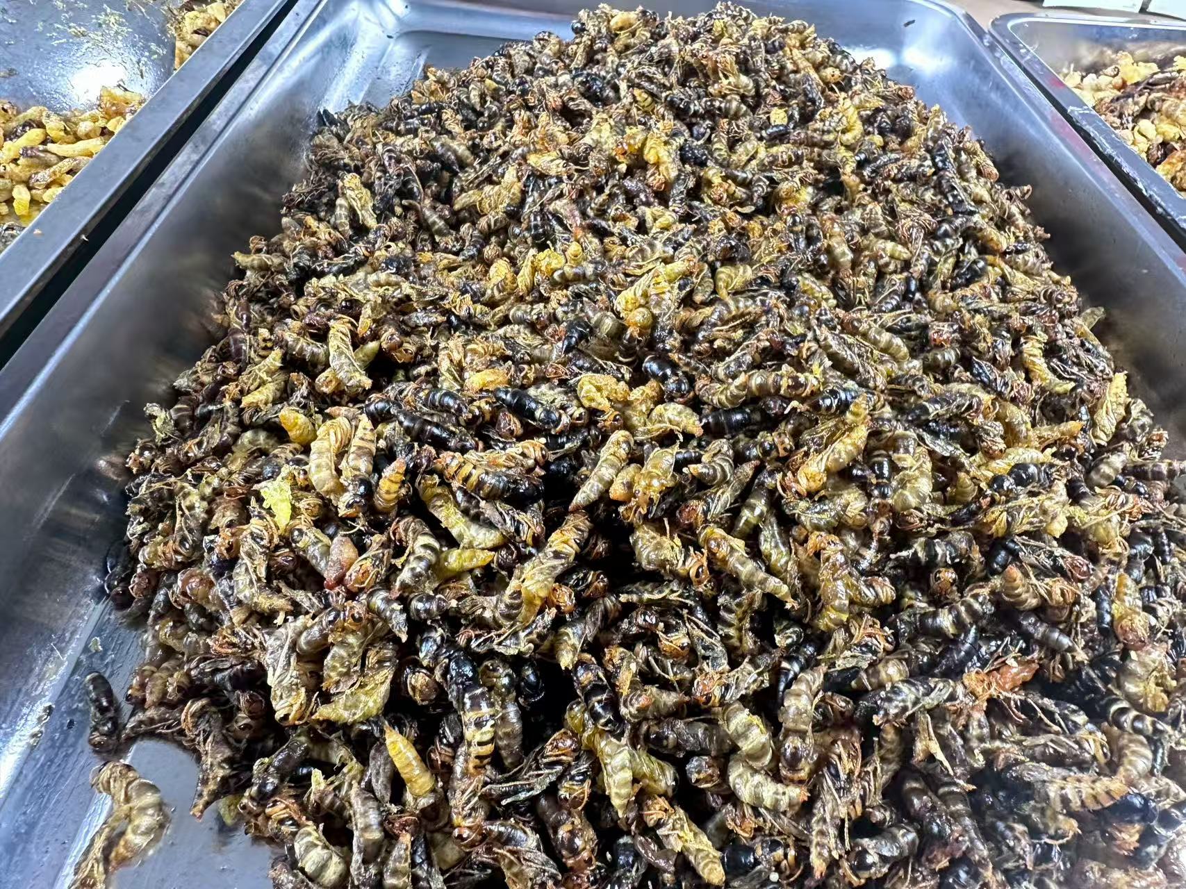 2~4级小黄小黑（不带内脏）现炸新鲜树蜂 顺丰空运