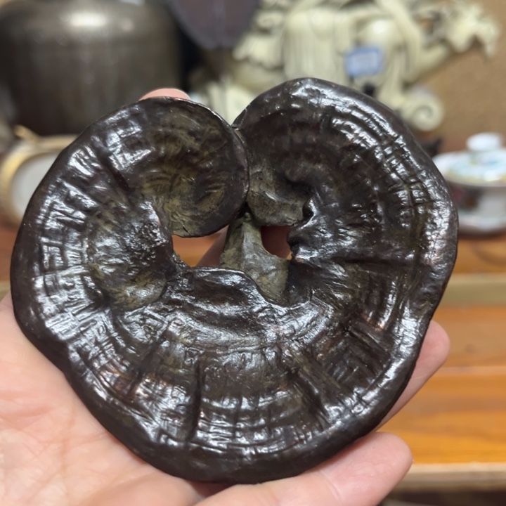 紫砂感谢大家一直支持我们