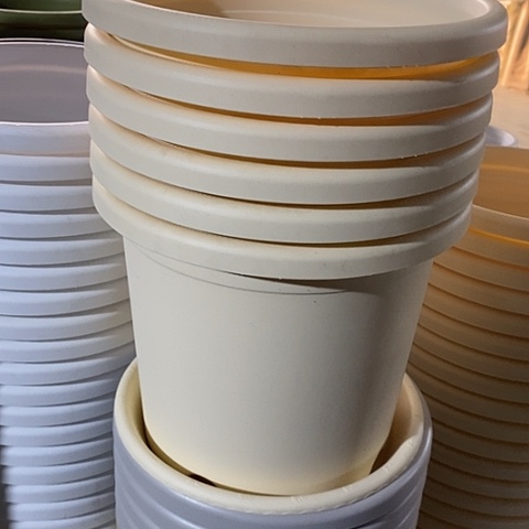 树脂四季4号6个无托米黄