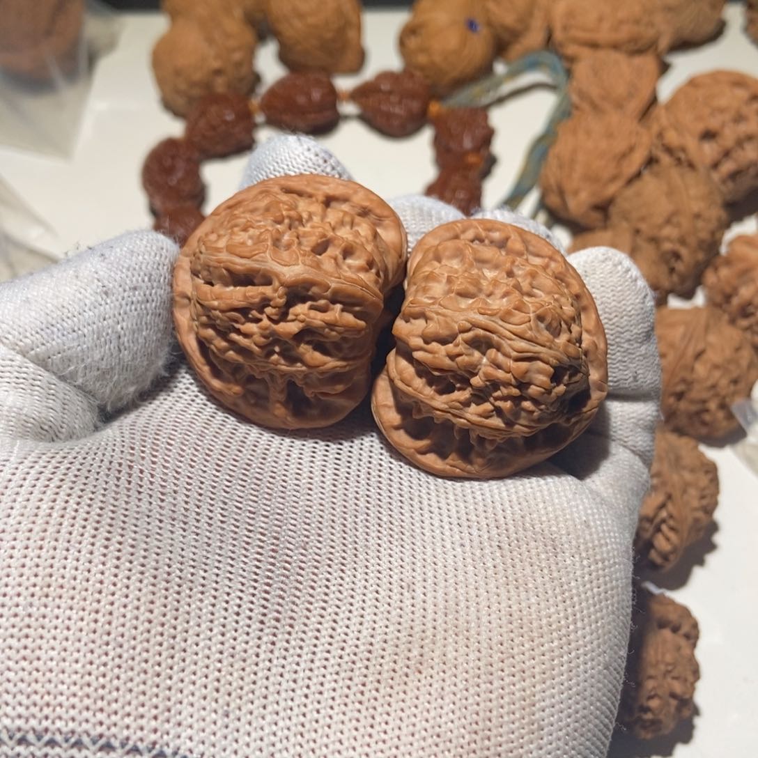 核桃嘉****部白狮子41尺寸