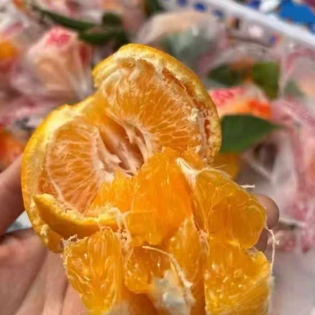 春见耙耙柑  约4斤四川省