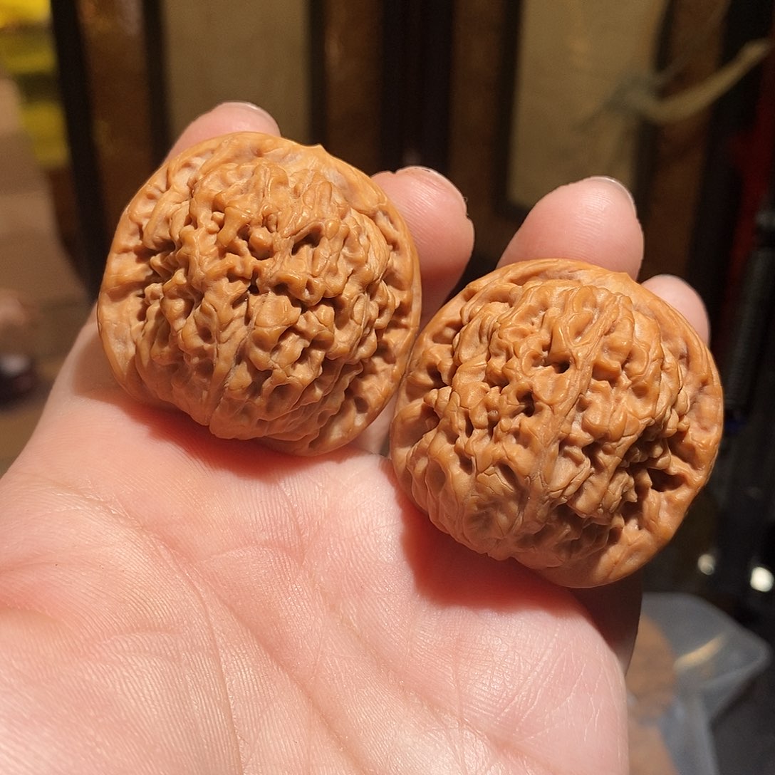 文玩核桃把件40莲花微修