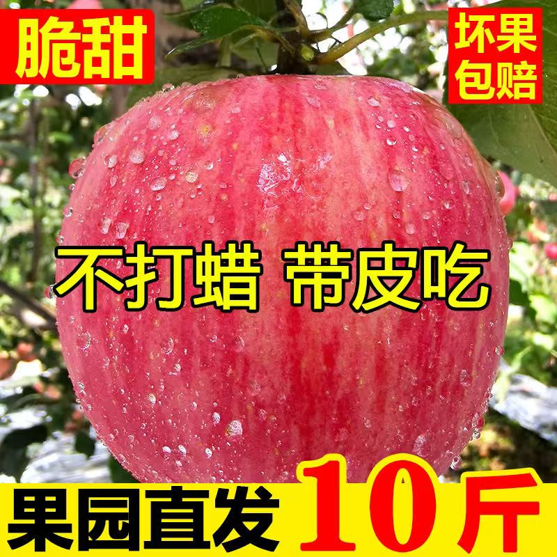 陕西自家红富士苹果新鲜当季脆甜多汁好吃新鲜现摘