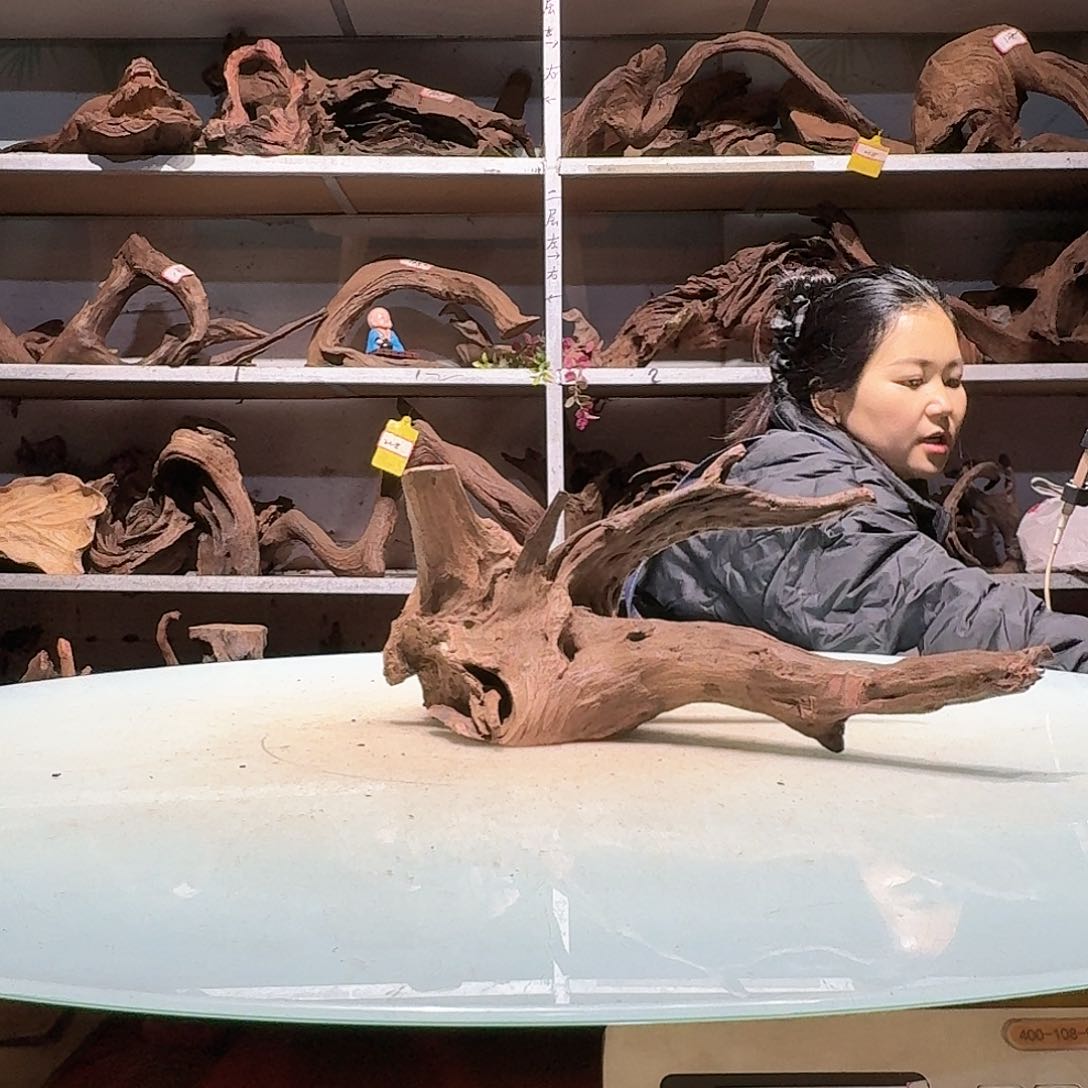 倍褚沉木不包损必褪色变****丝6803