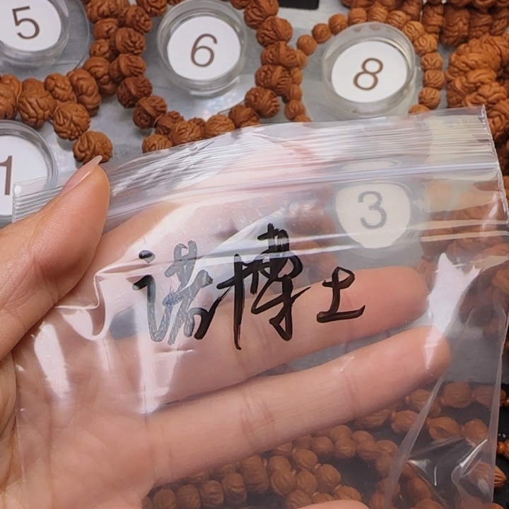 @***士桃核手串玉龙脊手持