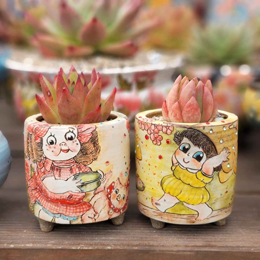 DKP10月01日【双节福利】金姐妹进口高端品质手工专用盆