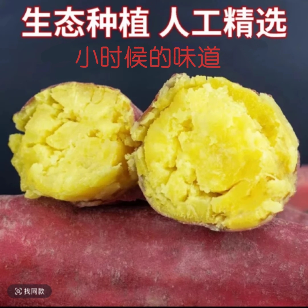 【买3斤送2斤到手5斤】新鲜现挖红薯软糯香甜的板傈红薯d1