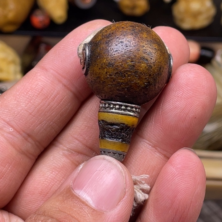 驼骨摆件人工养殖