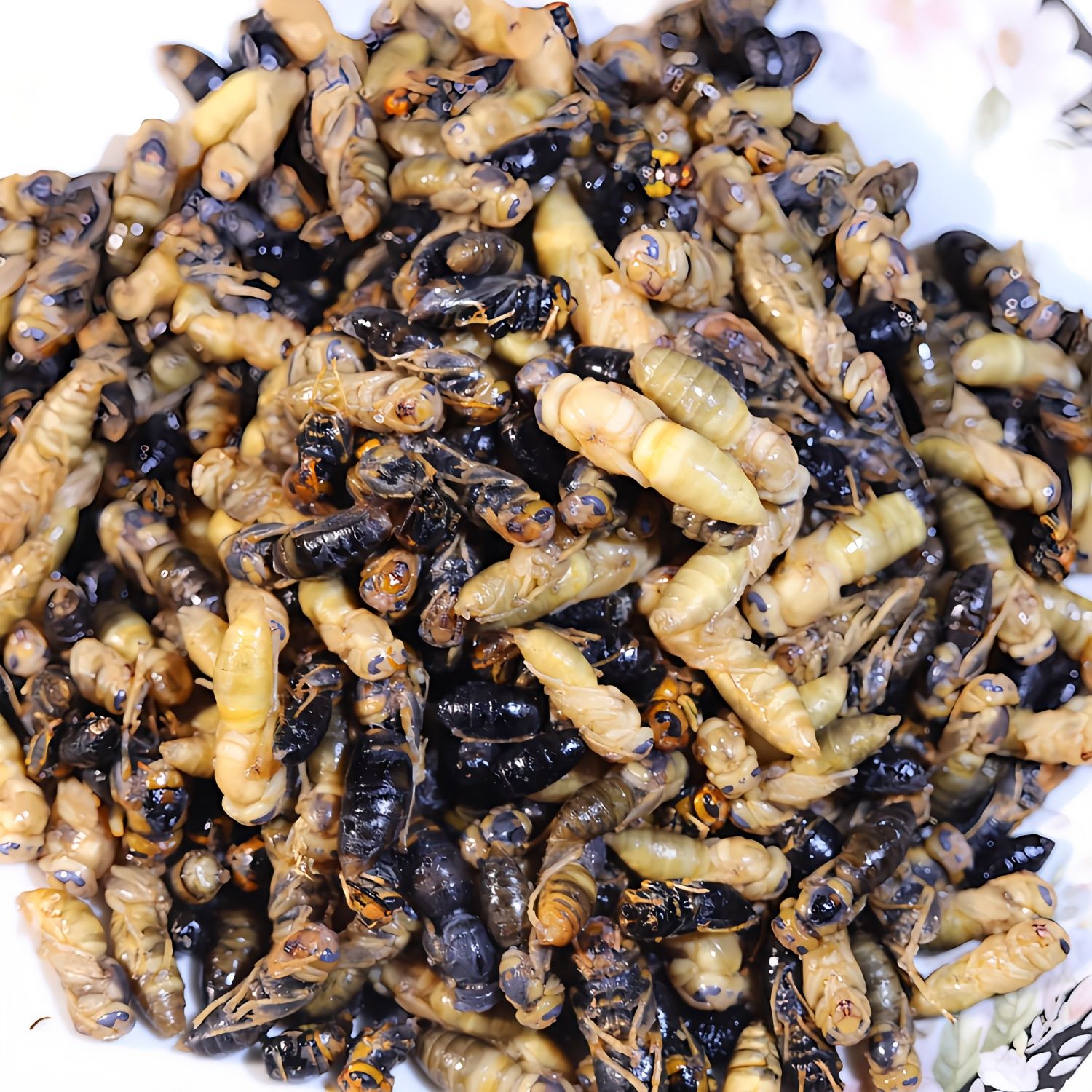 2025年野生树蜂新鲜速冻四级马蜂蛹包邮