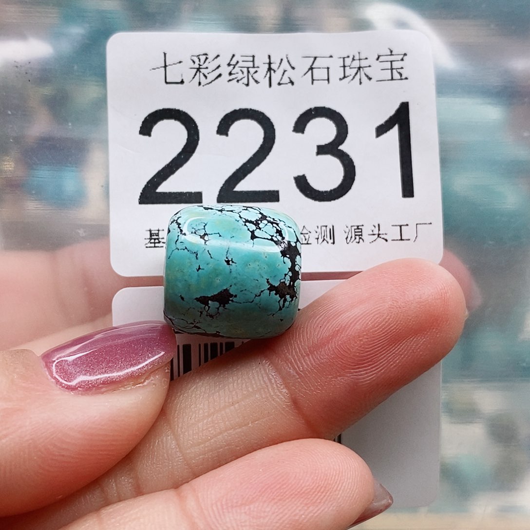 绿松石颈饰未镶嵌