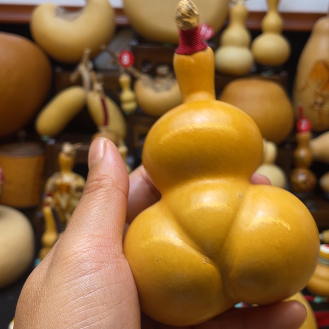 海*?葫芦等经济作物和各种蔬菜等